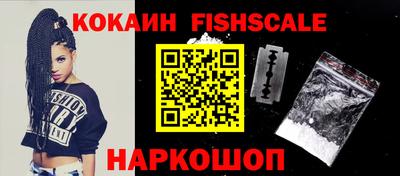 гашик Кингисепп