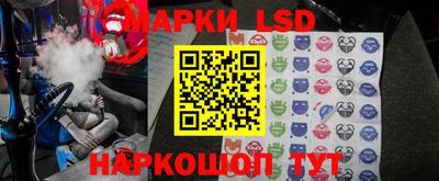 гашик Кингисепп