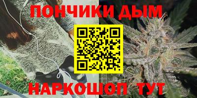 гашик Кингисепп