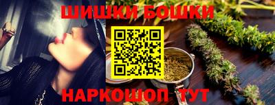 гашик Кингисепп
