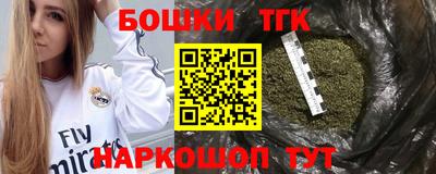 гашик Кингисепп