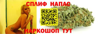 гашик Кингисепп