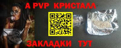 гашик Кингисепп