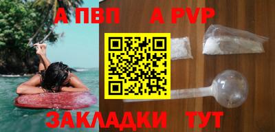 гашик Кингисепп