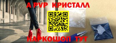 гашик Кингисепп