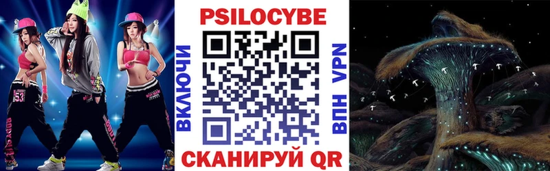Галлюциногенные грибы Psilocybe  наркота  Шали 