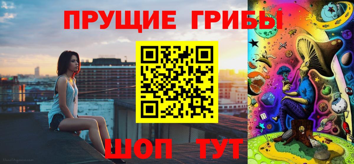 Псилоцибиновые грибы Psilocybe Шали