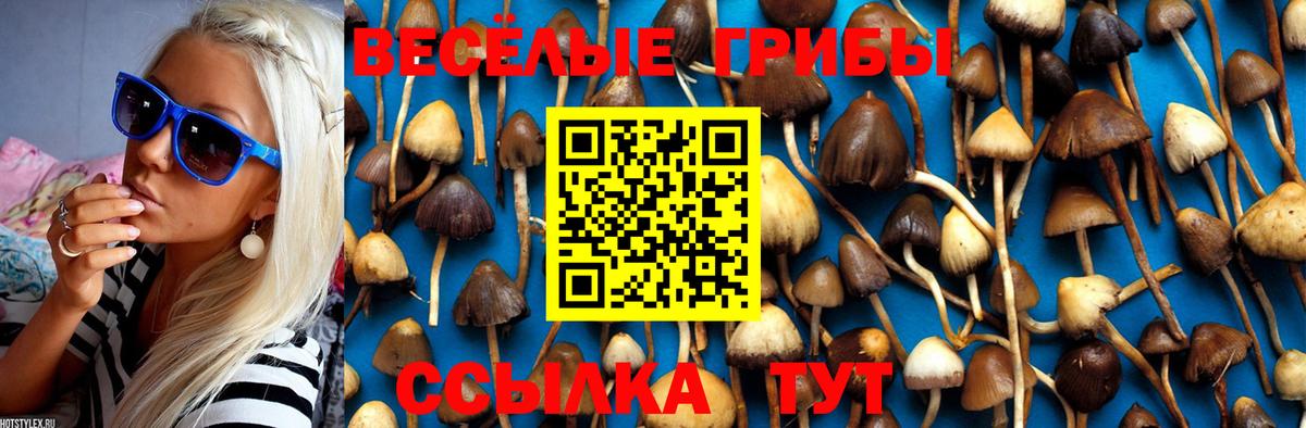 Псилоцибиновые грибы MAGIC MUSHROOMS  Вход с VPN  Псилоцибиновые грибы мицелий  Шали 