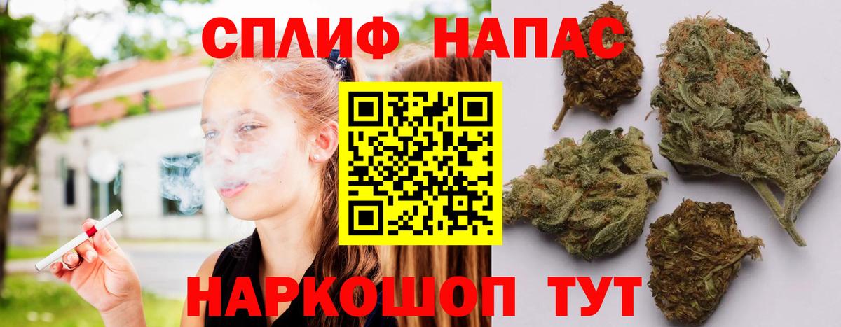 Канабис марихуана Шали